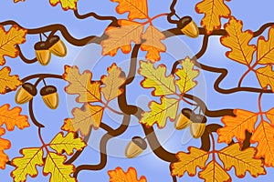 Branches and autumn yellow oak leaves and acorns