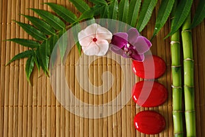 Branches of bamboo and foliage with red pebbles arranged in lifestyle zen and flowers orchids on wooden background