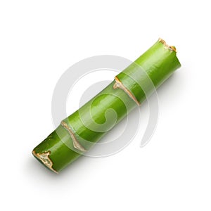 Branches of bamboo isolated