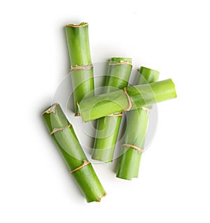 Branches of bamboo isolated