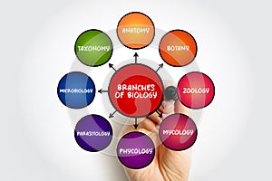 Branches of biology mind map text concept for presentations and reports