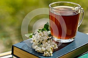 Branches of blooming bird cherry tree and a glass cup with tea on a stack of books by the window. Close up