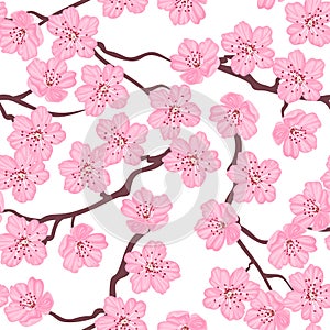 Branches of blooming pink sakura. Spring flowers seamless pattern. Floral background.
