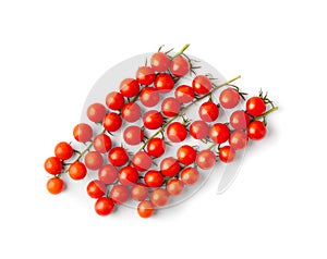 Branches of cherry tomatoes on a white background