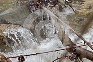 Braches covered in ice