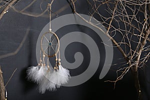Among branches Dreamcatcher weighs. dark background. white feathers