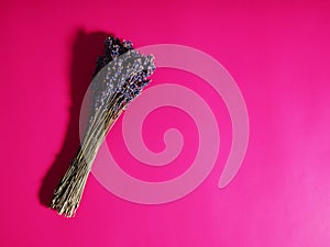 Branches of dry lavender on a pink background, a copy of the space