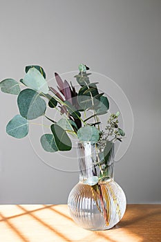 Branches of eucalyptus in a fluted glass vase, minimal home decor