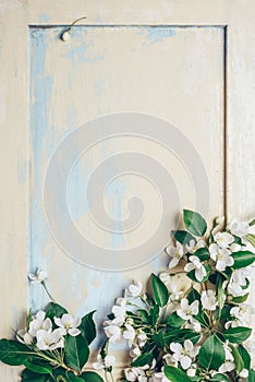 Branches of flowering apple trees on vintage wooden background in frame. Concept - spring background