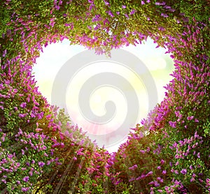 Branches form a heart-shaped pattern