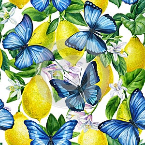 Branches of fresh lemons and blue butterfly. Hand drawn watercolor painting. seamless pattern