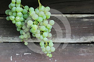 Branches of grapes with leaves on shabby natural wooden fence boards. Foliage on a vintage wooden surface with copy