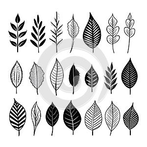 Branches of grayscale: depicting the elegance of monochromatic foliage