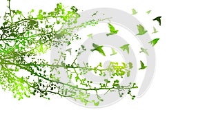 Branches of a green tree with flying birds. Vector illustration