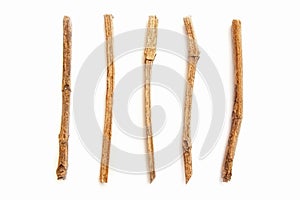 Branches isolated on white background