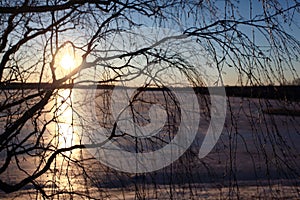 Branches without leaves spring reflections river