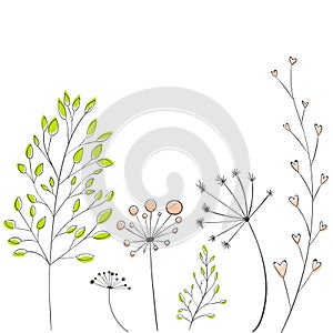 Branches with leaves and twigs, modern vector