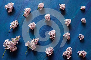 Branches of lilac are lying rhythmically in order on blue background. photo