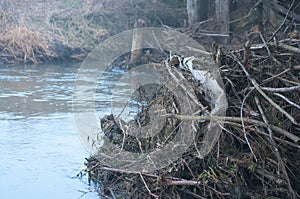 Branches and a lot of dirt under a wooden bridge.