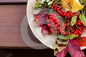 Branches with multi-coloured autumn leaves and berry.autumn still life. bouquet of autumn leaves and berries. Rowan