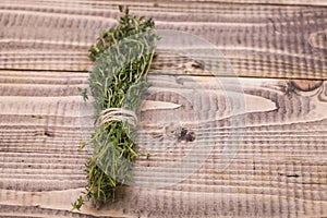 Branches of natural fresh rosemary
