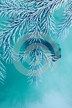 Water color white background acrylic inside water smoke steam frost snow branch needles christmas tree winter blue frozen