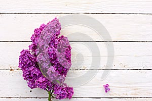 Branches of purple lilac flowers on wooden plank background