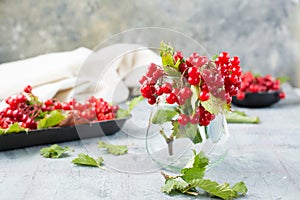 Branches with ripe viburnum berries and leaves in a jar and on a substrate in the background on the table. Wellness, Alternative