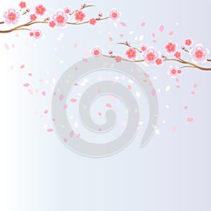 Branches of Sakura and petals flying isolated on light blue purple background. Apple-tree flowers. Cherry blossom. Vector EPS 10