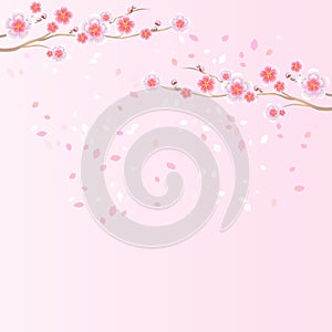 Branches of Sakura and petals flying isolated on light pink background. Apple-tree flowers. Cherry blossom. Vector EPS 10, cmyk