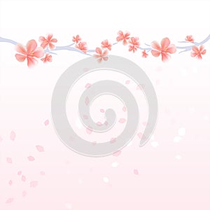 Branches of Sakura and petals flying isolated on light pink gradient background. Apple-tree flowers. Cherry blossom. Vector