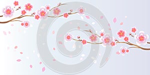 Branches of Sakura and petals flying on light blue purple background. Apple-tree flowers. Cherry blossom. Vector EPS 10
