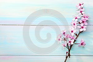 Branches of Sakura on wooden table. Toned image photo