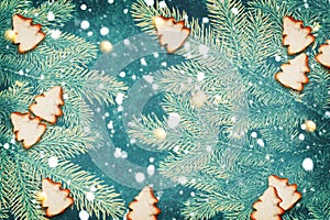 The branches of the snow covered Christmas tree