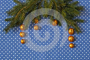 Branches of spruce with gilded nuts on a background of cloth in polka dots