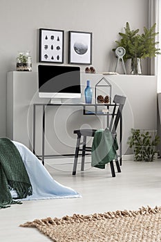 Branches of spruce in glass vases in classy bedroom and workspace for teenager, real photo with posters on empty grey wall