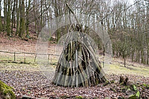 Branches stack, wood lumber pile outdoor