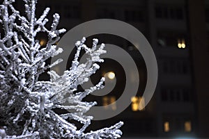 Branches of trees in the hoarfrost against the background of night lights with a bokeh effect