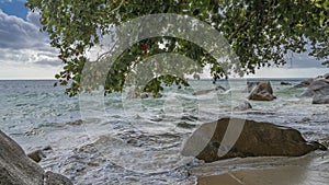 The branches of tropical trees bent over the beach.