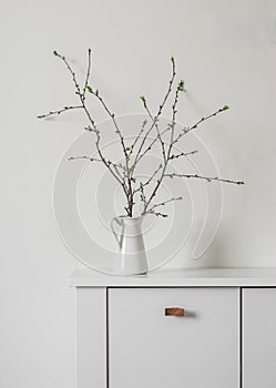 Branches in a white enameled jug on a white chest of drawers - minimalism style decor