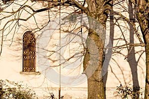 Branches on window of Italian XVII Century church