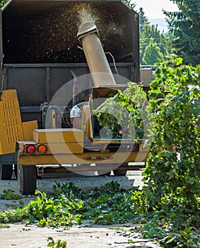 Branches in a Wood Chipper