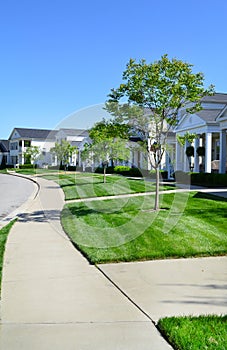 Brand New Capecod Suburban American Dream Home Neighborhood