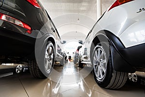 Brand new cars at automotive dealer showroom