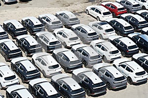Brand new cars from different producers and colors were recently discharged from cargo ships.