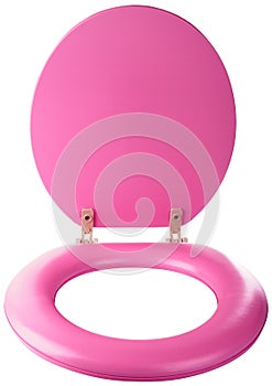 Brand-new toilet seat