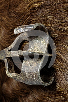 Branding Iron on Cow Hide