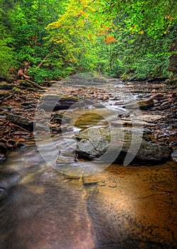 Brandywine Creek Falls