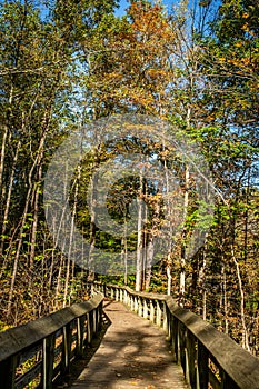 Brandywine Gorge Trail Cuyahoga National Park Ohio