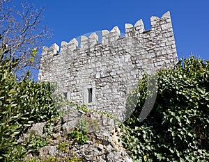 Branik Castle